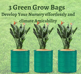 35 Vegetable Special  Kit, 10 Combo Grow Kit for your Garden - Singhal Mart